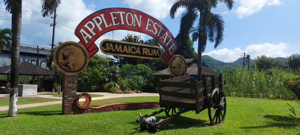 The Appleton Estate logo picture stand is displayed on a green lawn, with an old wooden cart set beside it as part of the outdoor exhibit.
