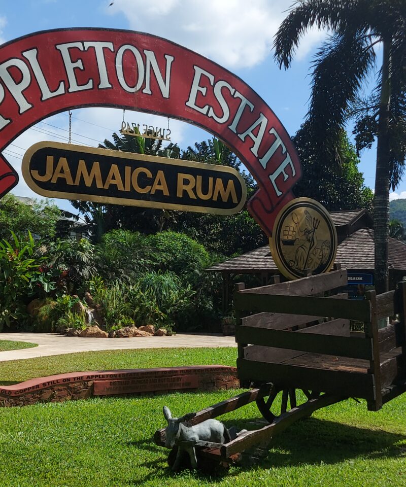 The Appleton Estate logo picture stand is displayed on a green lawn, with an old wooden cart set beside it as part of the outdoor exhibit.