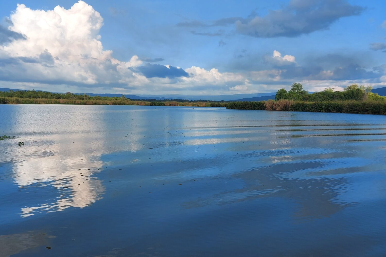 Open waters of Jamaica’s Black River reflect the blue sky and white clouds, with mangroves lining the banks and distant mountains appearing to meet the sky.