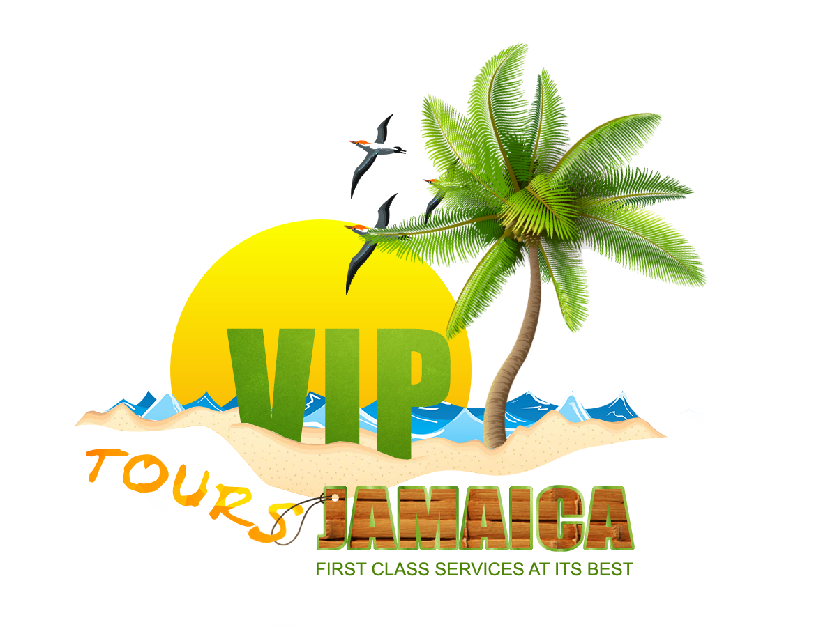 A Logo depicting the sun sea sand with a coconut tree with birds flying above