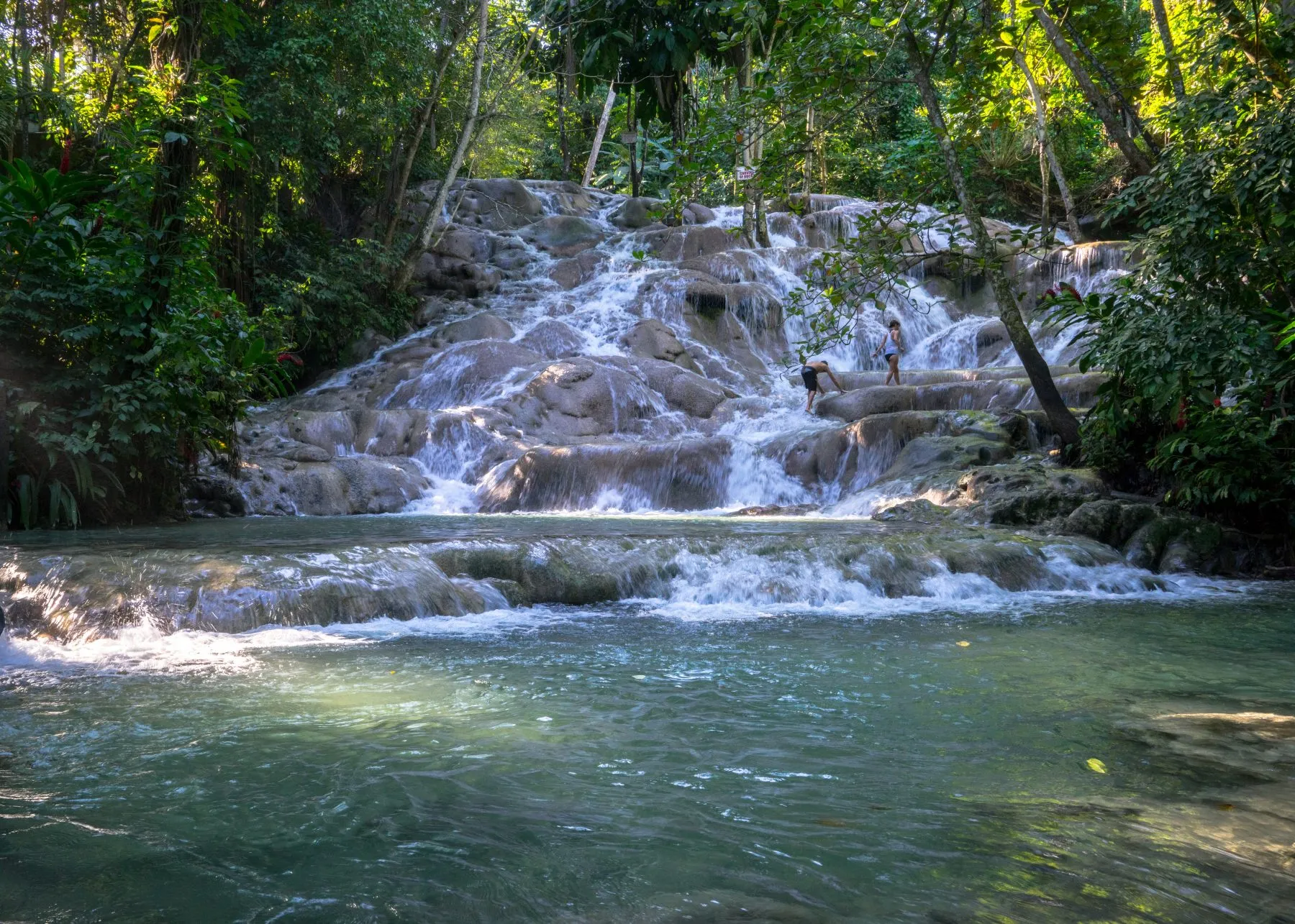 Wide view of Dunn’s River Falls in Jamaica, captured from the starting area showing the cascading limestone steps rising through lush tropical greenery to the top of the falls.