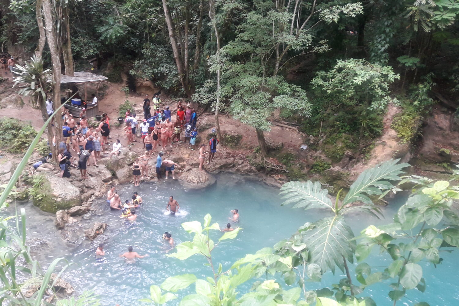 Visitors swim in Blue Hole river while others rest on rocks among lush greenery.