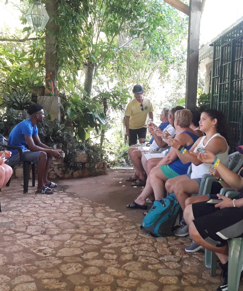 Visitors sit under a wooden gazebo at Rocklands Bird Sanctuary, holding small bottles of nectar as they wait for hummingbirds to perch on their fingers and drink. A tour guide sits nearby, ready to take photos and share insights, creating an unforgettable travel experience.