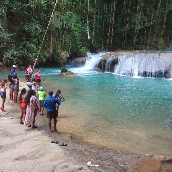 Visitors enjoying YS Falls, with some swimming in the natural pools, others swinging on the rope swing, and several people standing nearby taking photos and watching the cascading waterfall.