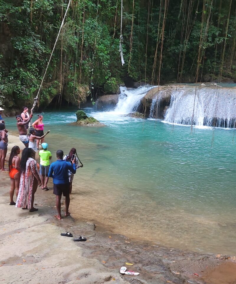 Visitors enjoying YS Falls, with some swimming in the natural pools, others swinging on the rope swing, and several people standing nearby taking photos and watching the cascading waterfall.