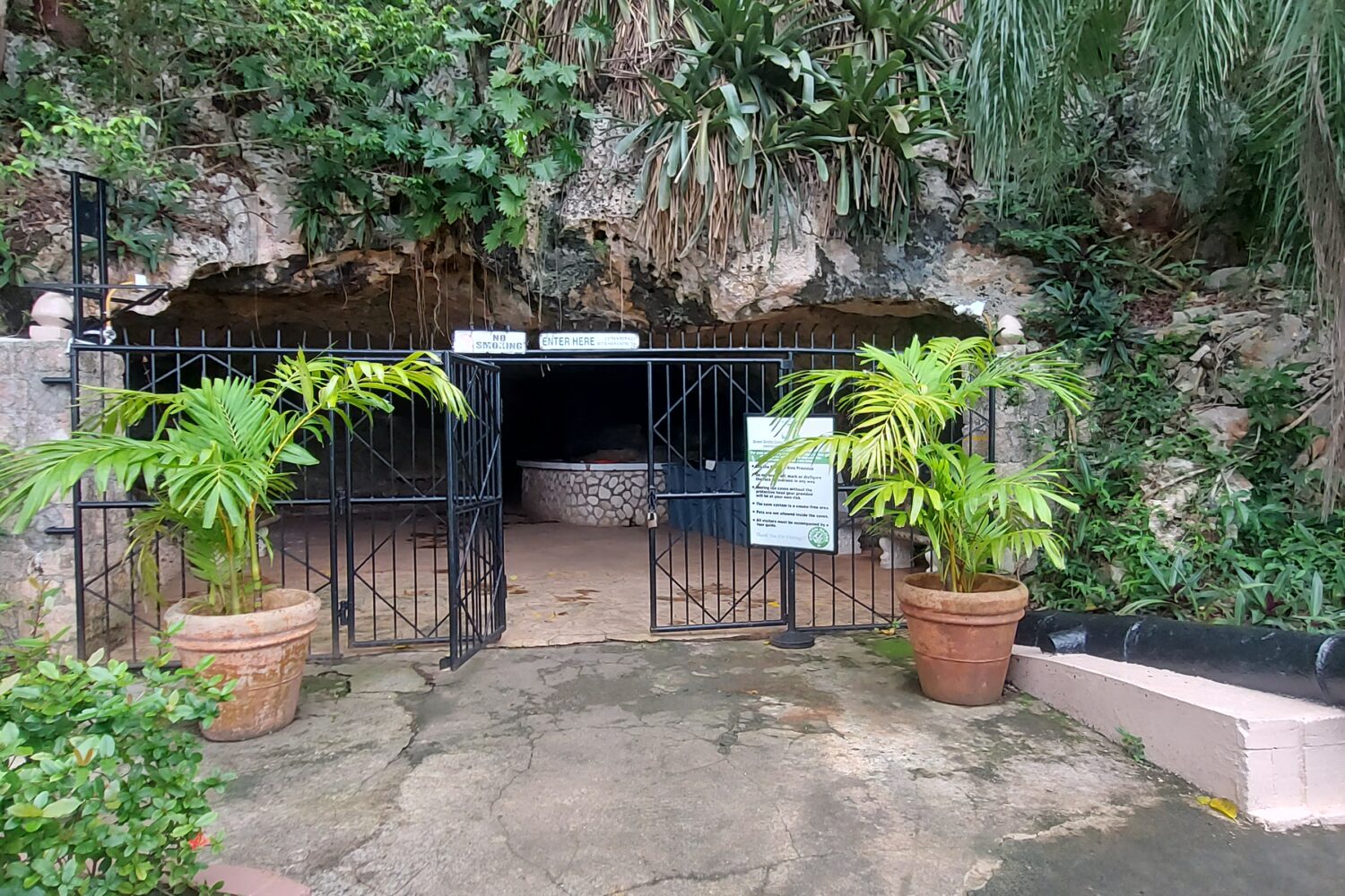 Gate and stone entrance leading into the Green Grotto Cave, framed by natural rock and greenery.