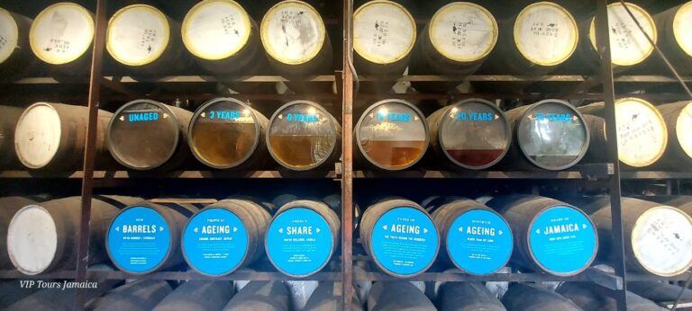 Six transparent barrels filled with rum, each showing different liquid levels that illustrate evaporation over successive years of aging.