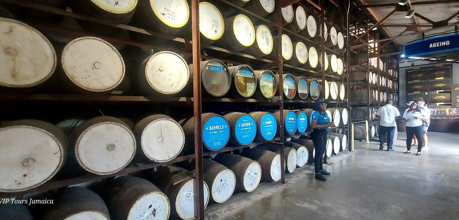 Tour guide standing in front of towering rows of rum barrels stacked from floor to ceiling inside the Appleton Estate aging warehouse.