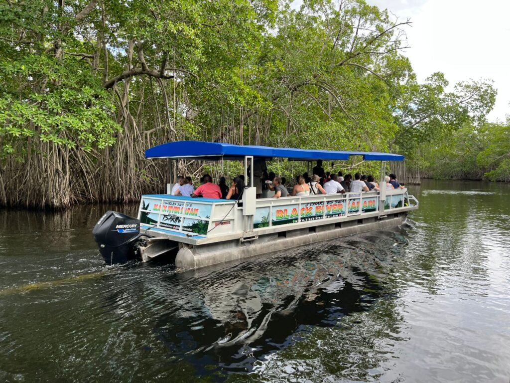 A boat sails along the Black River carrying visitors on a guided safari tour.