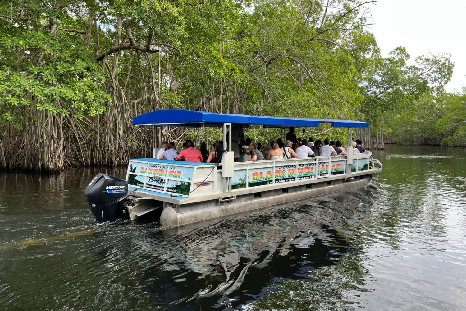 Black River Safari Boat Tour A boat sails along the Black River carrying visitors on a guided safari tour.