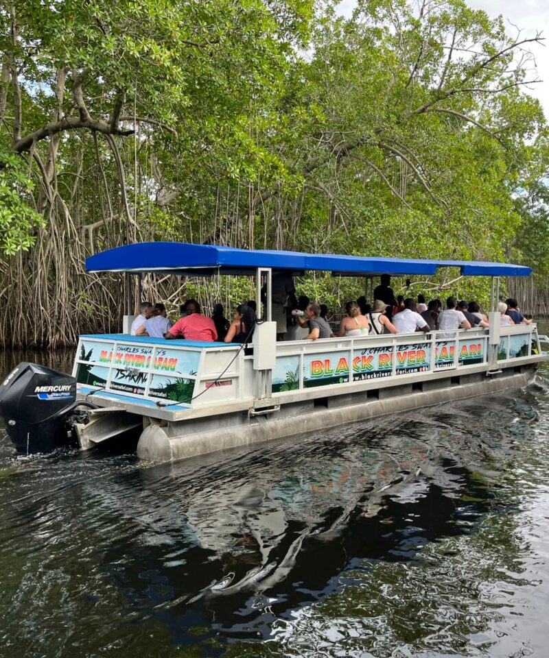 A boat sails along the Black River carrying visitors on a guided safari tour.