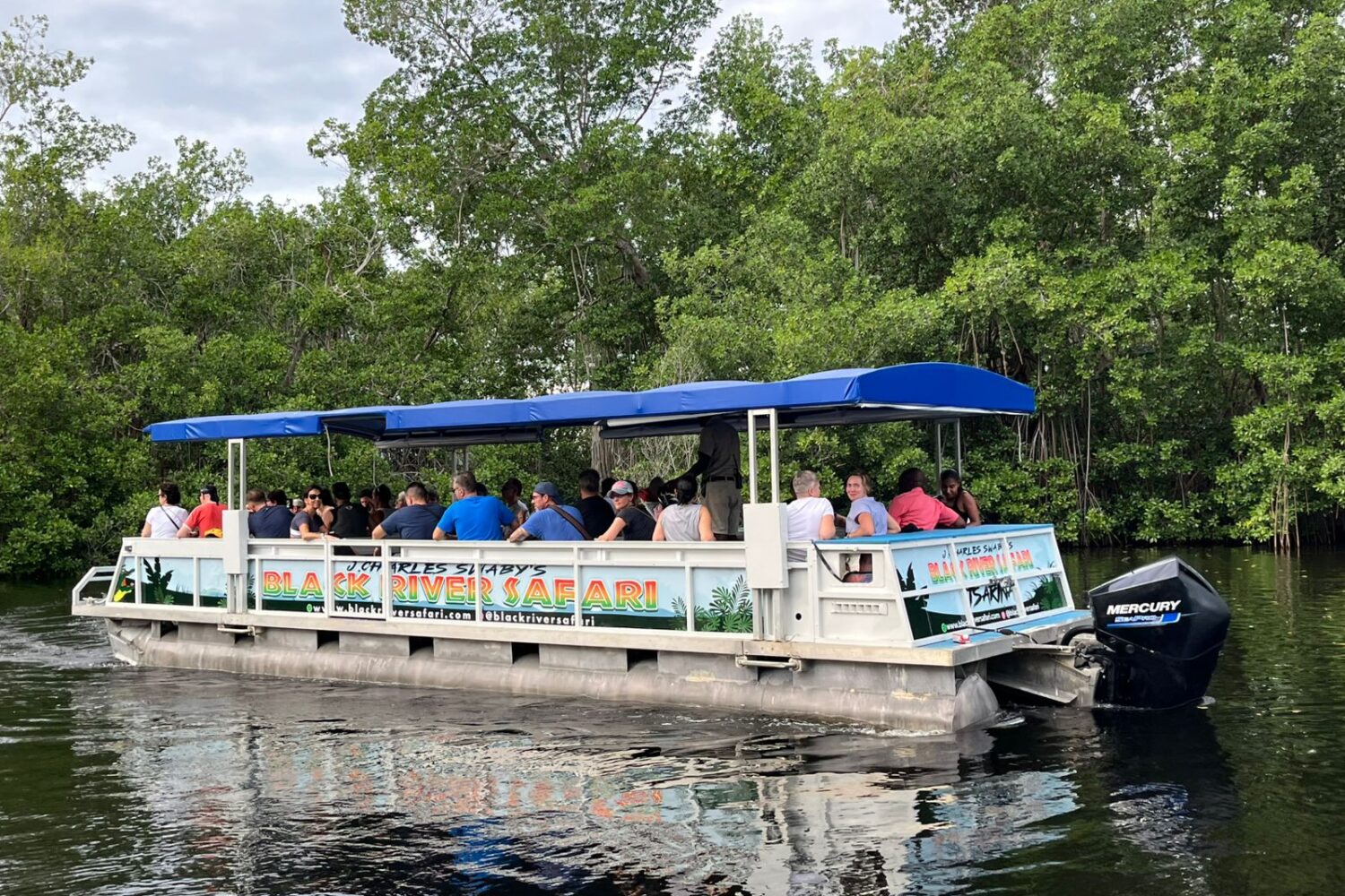 IMG-20241127-WA0046