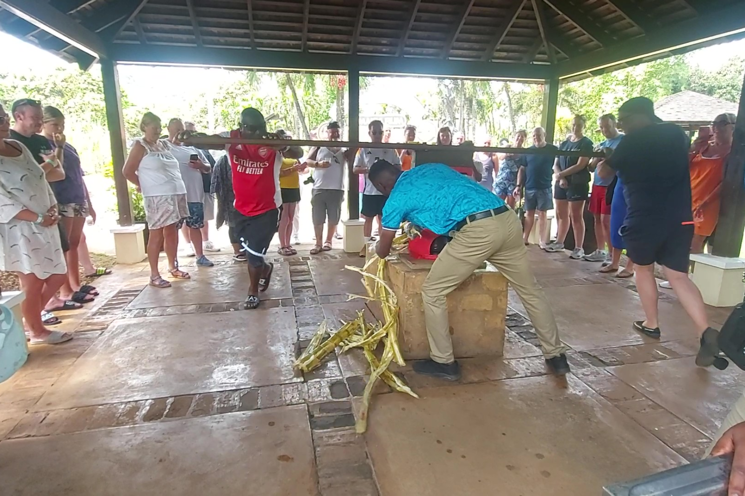 Visitors gather around a manual cane mill, with two guests at each end of the handle turning it in a circle as a staff member feeds sugarcane into the mill, while a tour guide stands nearby giving instructions.
