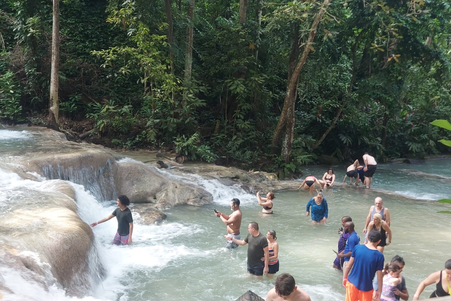 Visitors climb the cascading rocks of Dunn’s River Falls in Jamaica, shaded by lush tropical trees, enjoying one of the island’s most popular attractions.