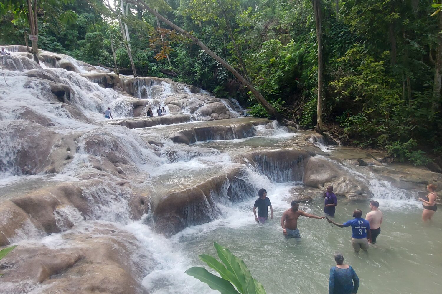 Visitors climb the cascading rocks of Dunn’s River Falls in Jamaica, shaded by lush tropical trees, enjoying one of the island’s most popular attractions.