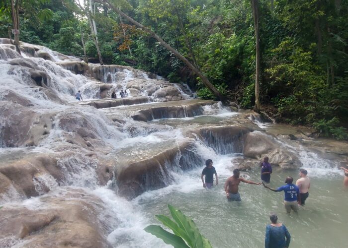 Visitors climb the cascading rocks of Dunn’s River Falls in Jamaica, shaded by lush tropical trees, enjoying one of the island’s most popular attractions.