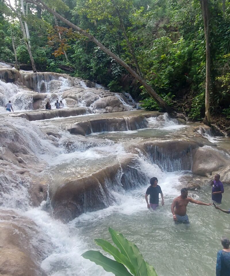 Visitors climb the cascading rocks of Dunn’s River Falls in Jamaica, shaded by lush tropical trees, enjoying one of the island’s most popular attractions.