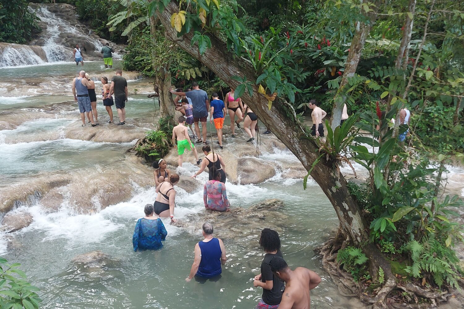 Visitors climb the cascading rocks of Dunn’s River Falls in Jamaica, shaded by lush tropical trees, enjoying one of the island’s most popular attractions.