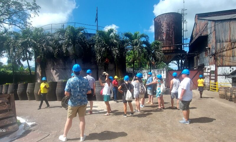 Group of visitors wearing hard hats touring the Hampden Sugar Estate factory in Trelawny, observing machinery and production areas.