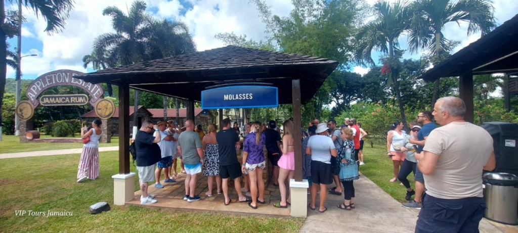 Visitors gathered at the molasses station at Appleton Estate during a guided rum tour