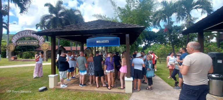 Visitors gathered at the molasses station at Appleton Estate during a guided rum tour