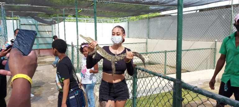 Visitor enjoys a close encounter with a baby crocodile at the Black River Safari nursery.