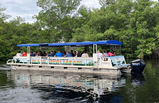 Visitors journey by boat on the Black River Safari, exploring Jamaica’s natural wetlands.