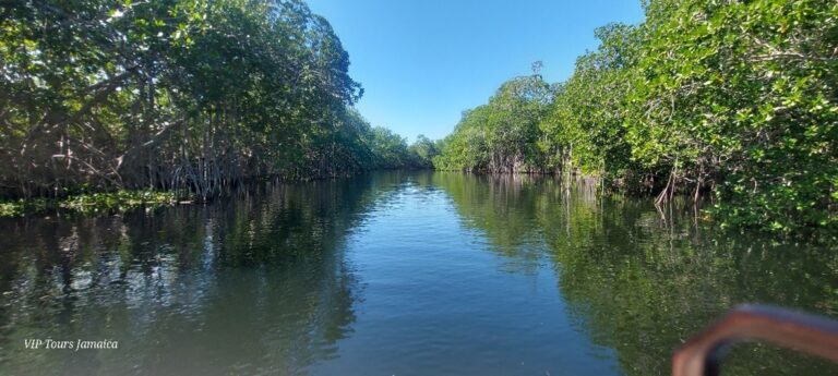 A long stretch of the Black River reflecting blue skies, bordered by lush mangroves on both sides, with distant mountains visible ahead.