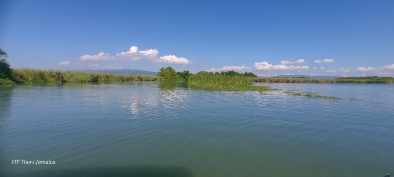 Wide-angle view of the Black River with bullrush grass forming an island in the middle, water reflecting deep blue skies and white clouds that appear to rest on distant mountains, and thick mangroves lining both banks.