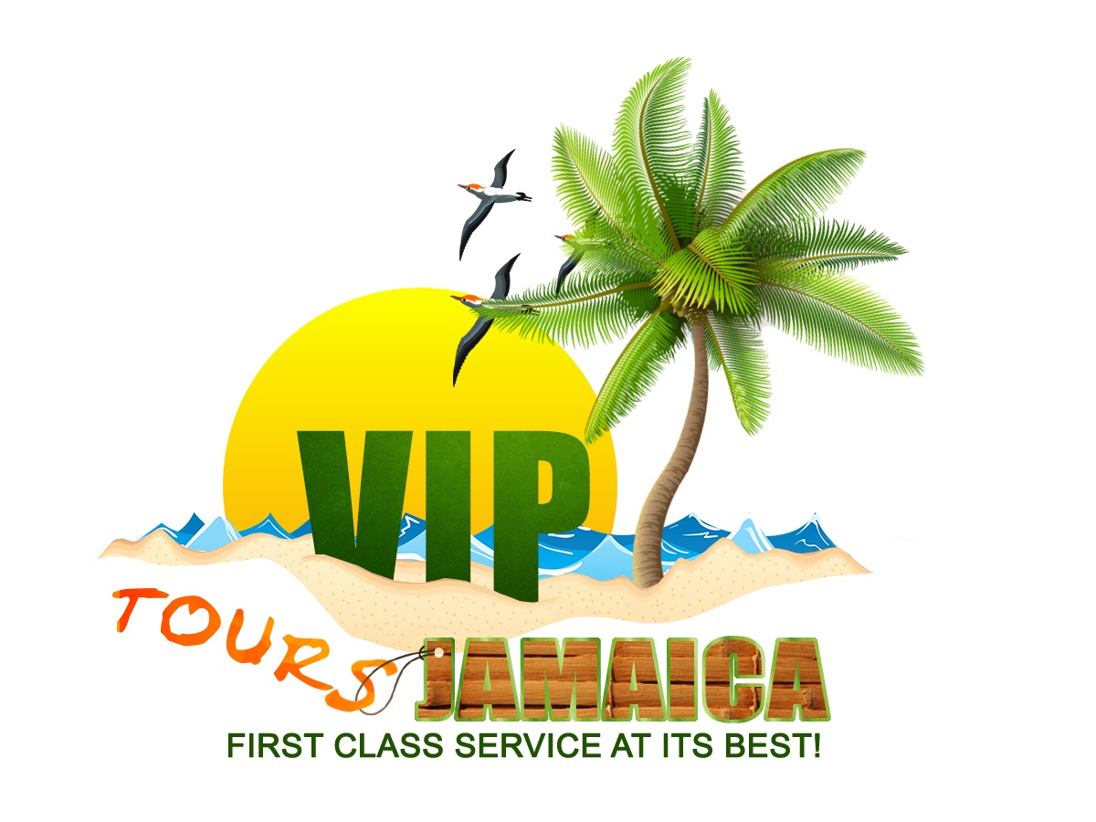 First Class Services At Its Best. VIP Tours Jamaica is a private tour company offering Private Tours and Private Transfers in Jamaica                                                                                                                                      Transferslicense and registered in Jamaica. We offer private airport transportation and private tours around the island.