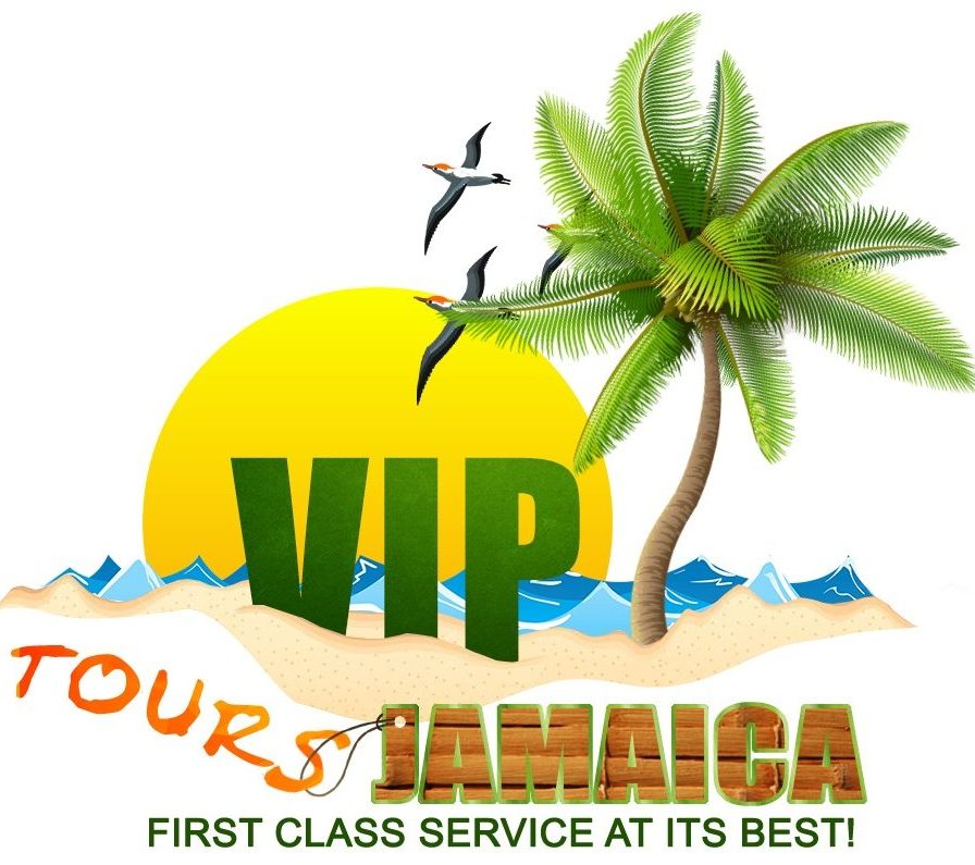 First Class Services At Its Best. VIP Tours Jamaica is a private tour company offering Private Tours and Private Transfers in Jamaica                                                                                                                                      Transferslicense and registered in Jamaica. We offer private airport transportation and private tours around the island.